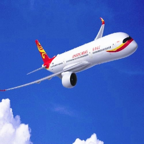 化妝品國(guó)際貨運(yùn)服務(wù)全解析 銳邁國(guó)際快遞與商檢報(bào)關(guān)指南