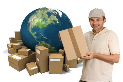 DHL國際小包裹丟失處理與天津海派貨運(yùn)保險(xiǎn)索賠及商檢報(bào)關(guān)指南